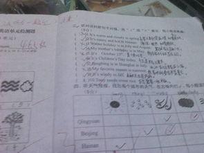 英语试卷91分反思总结,英语试卷91分后的总结与展望