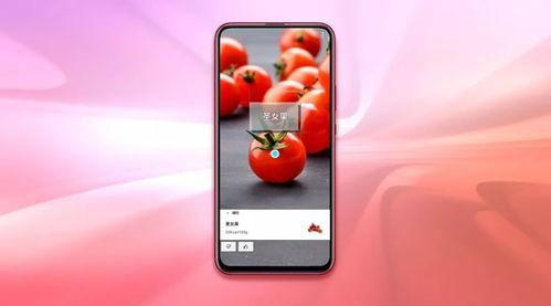 emui91升级进度,全面覆盖，稳步推进