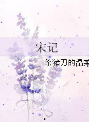 宋记 小说 91,风云突变，真相揭晓